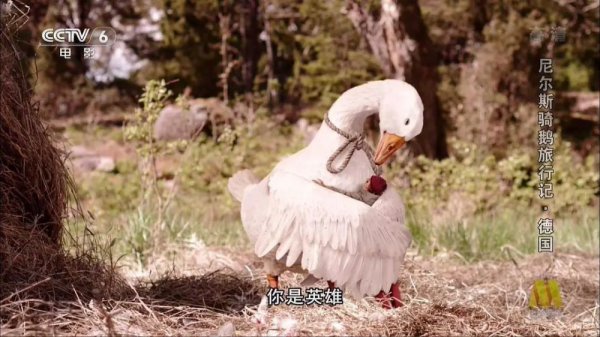 塞尔玛拉格洛夫简介