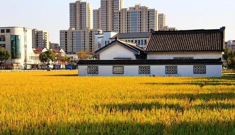 中国最富的村有哪几个