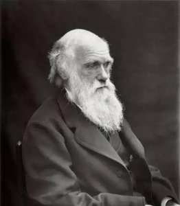 达尔文人物简介事迹 达尔文的人物生平及主要成就