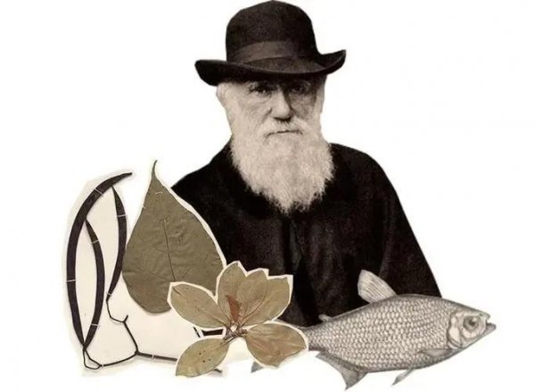 达尔文人物简介事迹