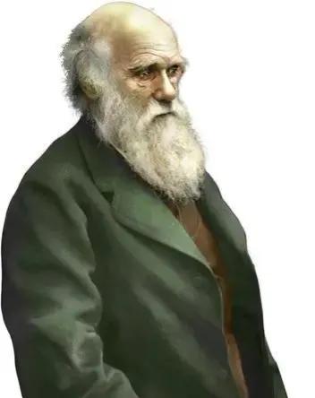 达尔文人物简介事迹