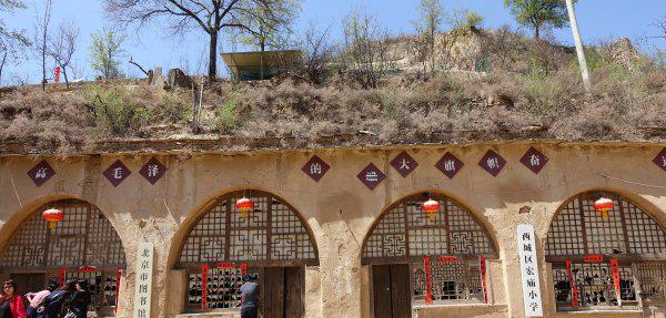 平凡的世界金波的结局