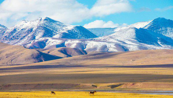 平凡的世界金波的结局