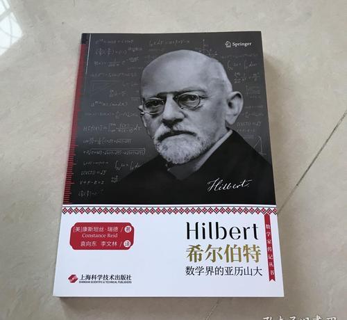 戴维希尔伯特的简介