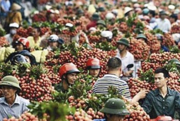 越南发展前景怎么样