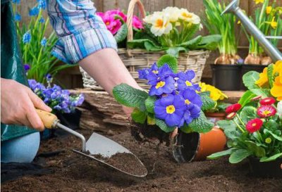 爱养花的男人都是什么样的人 喜欢养花男人的性格特点