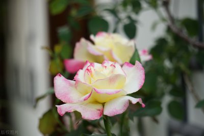 适合刚退休女人的工作 退休女性可以做的工作有什么