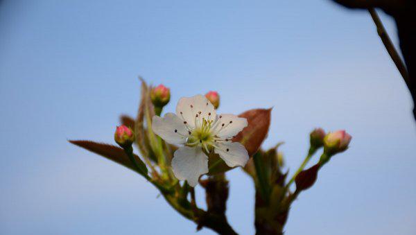 适合刚退休女人的工作