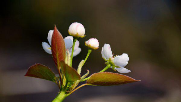 适合刚退休女人的工作