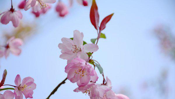 适合刚退休女人的工作