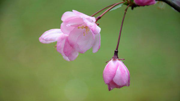 适合刚退休女人的工作