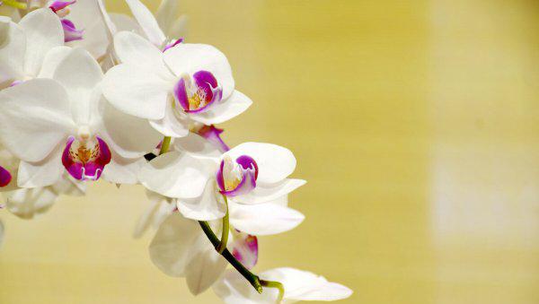 适合刚退休女人的工作