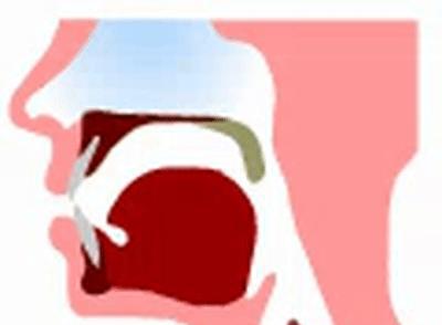 孩子n和l发音分不清怎么办