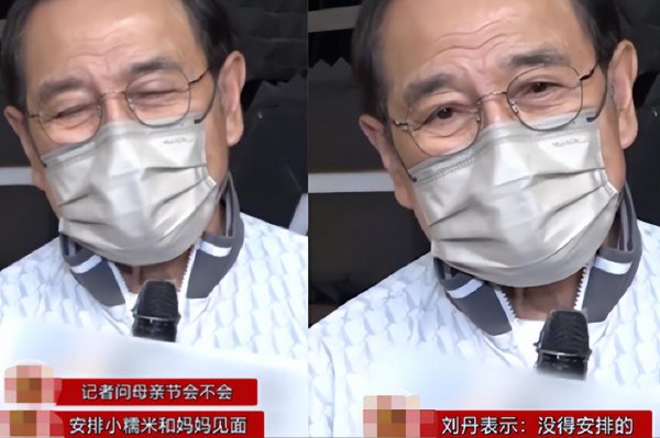 演员刘恺威的父是谁