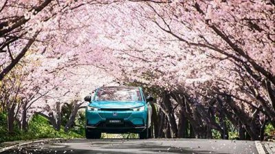 什么电动汽车质量最好性价比最高 现在什么牌子电动轿车好