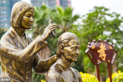 忠孝不能两全什么意思 重华大孝武穆精忠什么意思