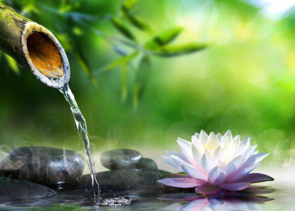 忠孝不能两全什么意思