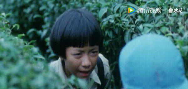 为什么说鲁冰花恐怖