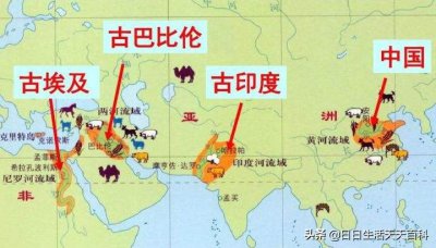 四大文明发源地指的是哪里 世界四大文明发源地的地理位置