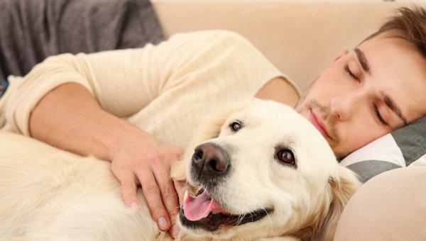 狗为什么晚上一直叫个不停