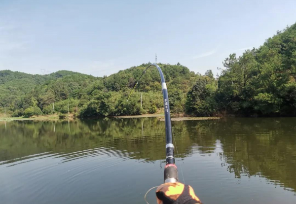 钓鲢鳙一般钓多深比较好