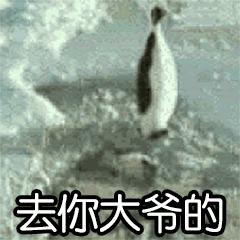 阿德利企鹅名字的由来