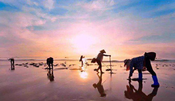 山东掖县属于哪个城市