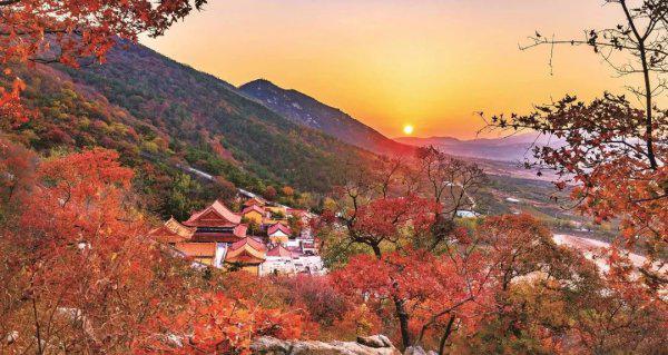 山东掖县属于哪个城市