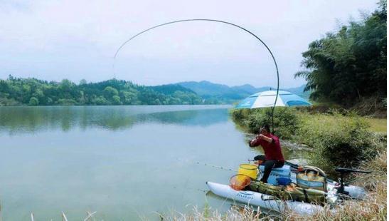 鱼竿h是什么意思