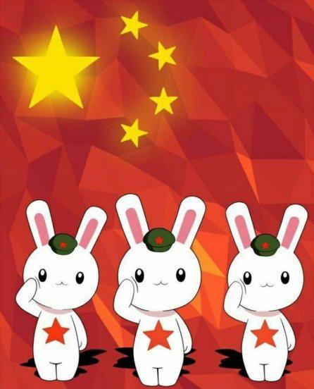 为什么中国被称为兔子王国