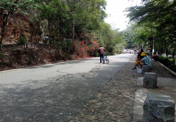 厦门怪坡现象是什么科学原理