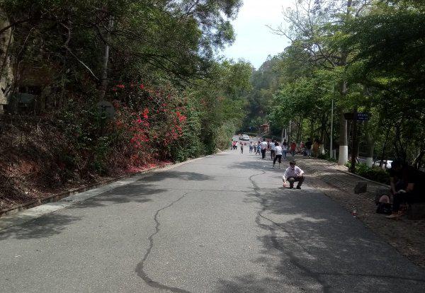 厦门怪坡现象是什么科学原理