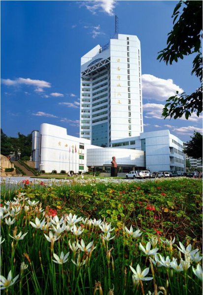 重庆邮电大学是双一流大学吗