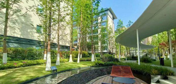 法拍房子的风险有哪些