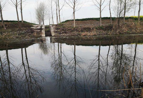 鱼不咬钩是什么原因导致的