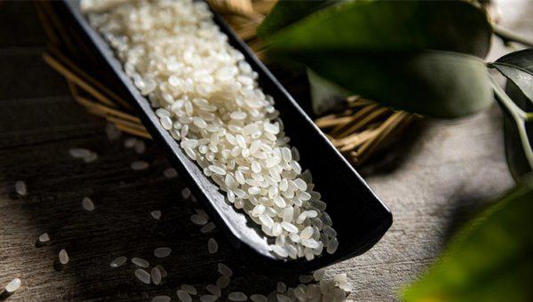 中国前10名大米排名介绍