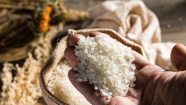 中国前10名大米排名介绍