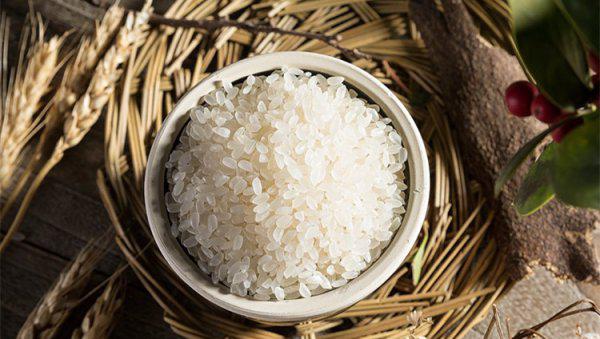 中国前10名大米排名介绍