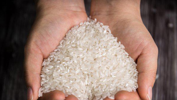 中国前10名大米排名介绍