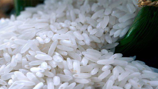 中国前10名大米排名介绍