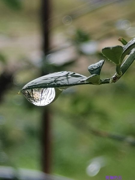 什么是表现手法和表达方式