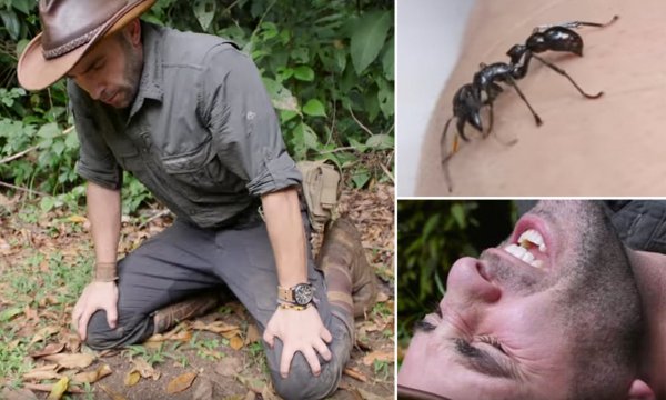 热带雨林有什么危险