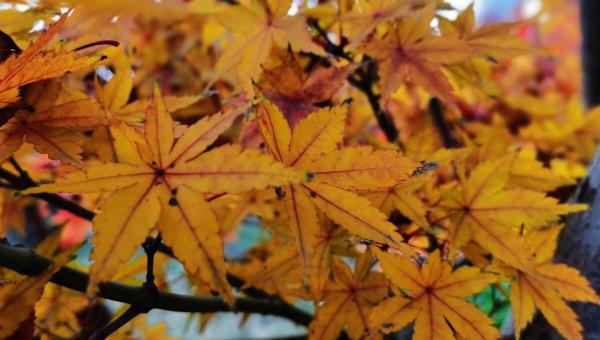 五险一金比例单位和个人