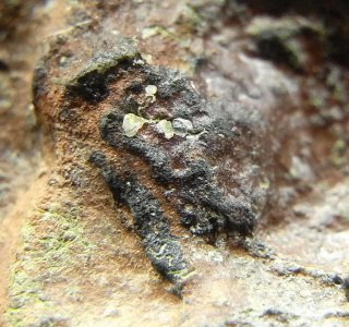 世界上顶级的陨石钻石有哪些 顶级陨石宝石一克多少钱