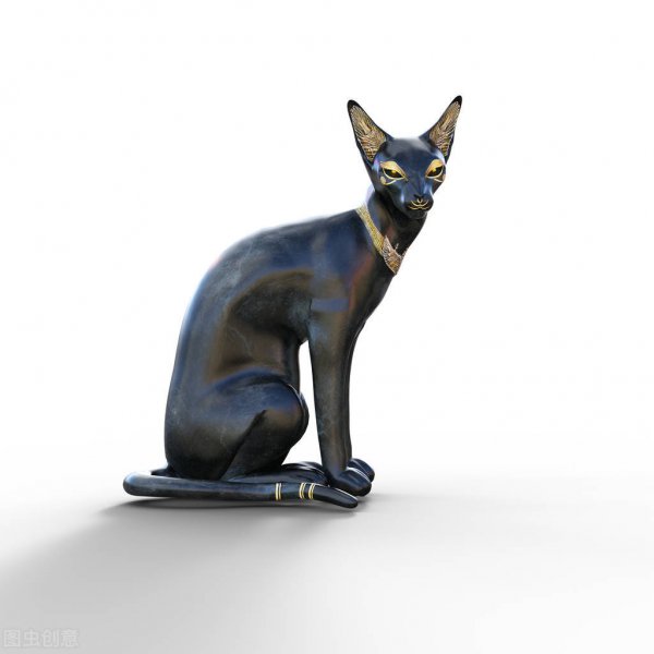 猫来自哪个国家