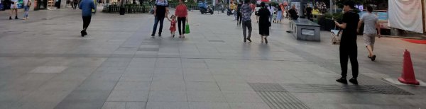 保尔和冬妮娅为什么分手