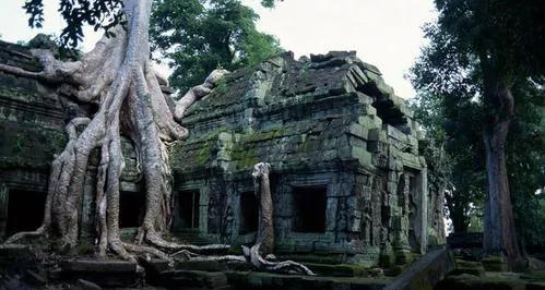 柬埔寨说什么语言为主