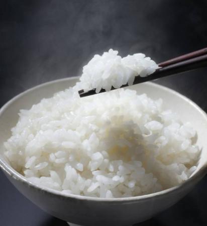 猫咪除了吃猫粮还能吃什么