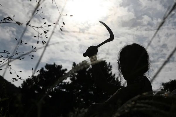 金福南事件始末解析