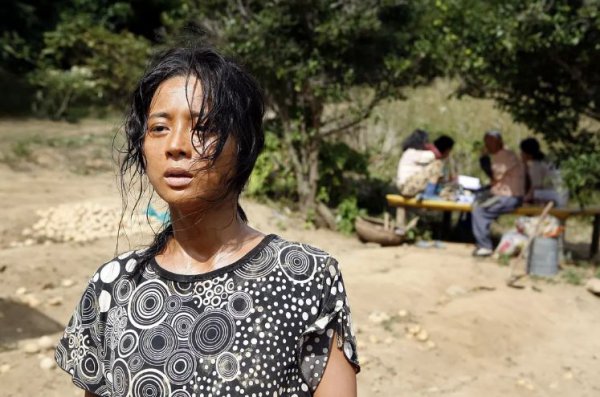 金福南事件始末解析